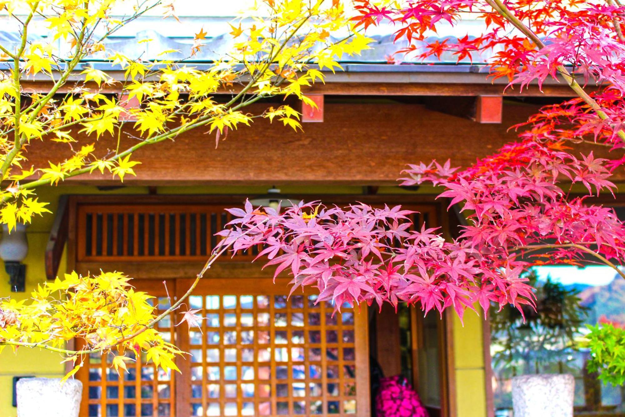 Stay Sakura Kyoto Nijo Castle West I Kültér fotó